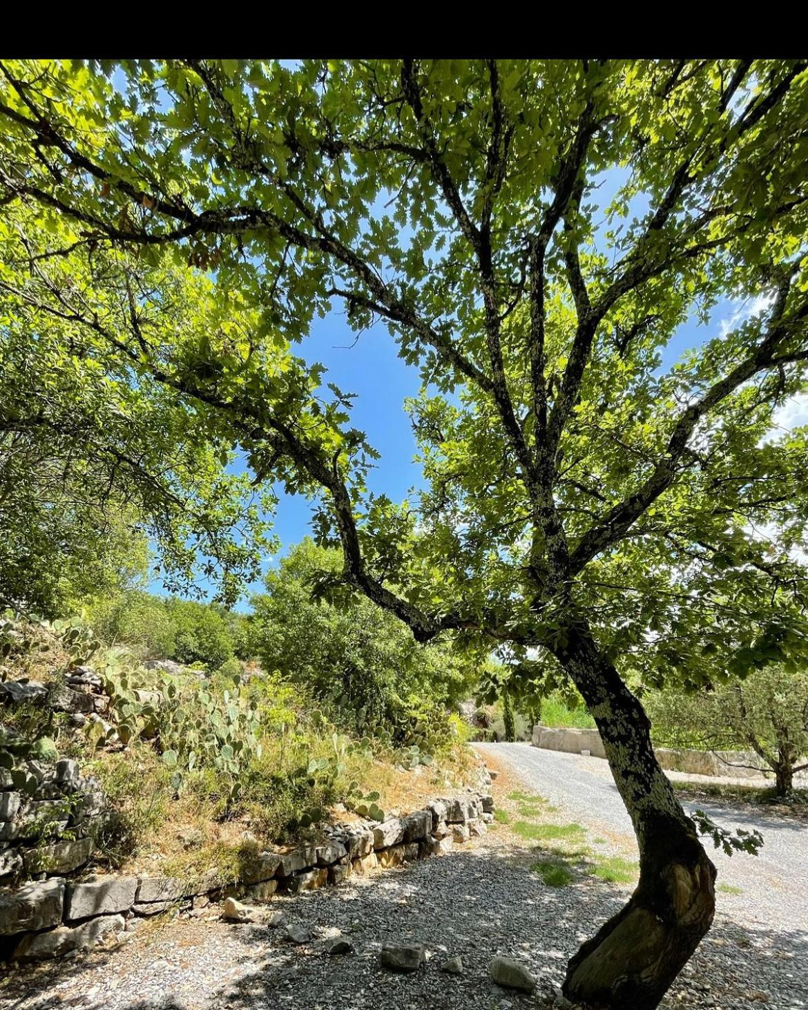 Les Chalets De Labeaume Dış mekan fotoğraf