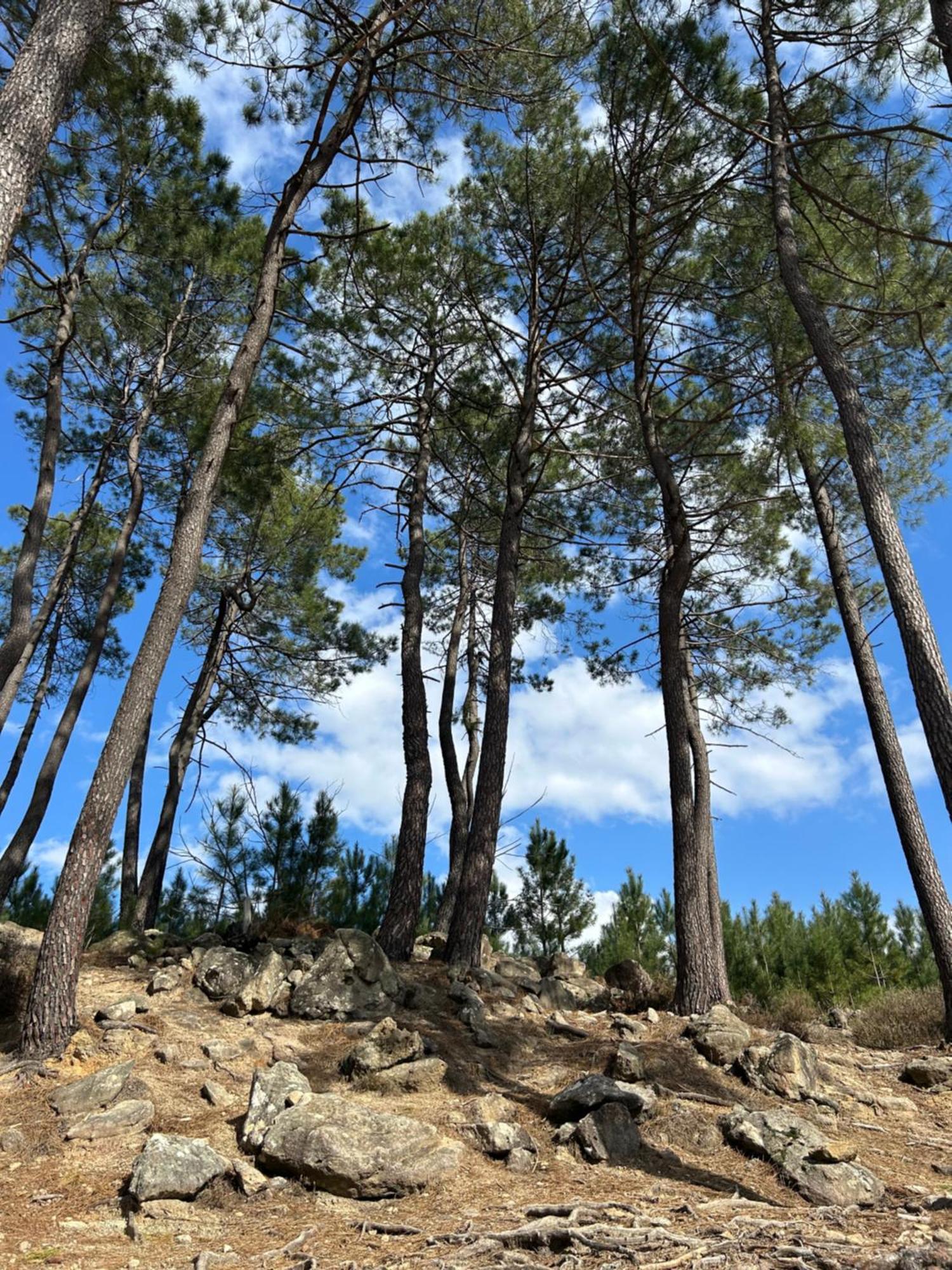 Les Chalets De Labeaume Dış mekan fotoğraf